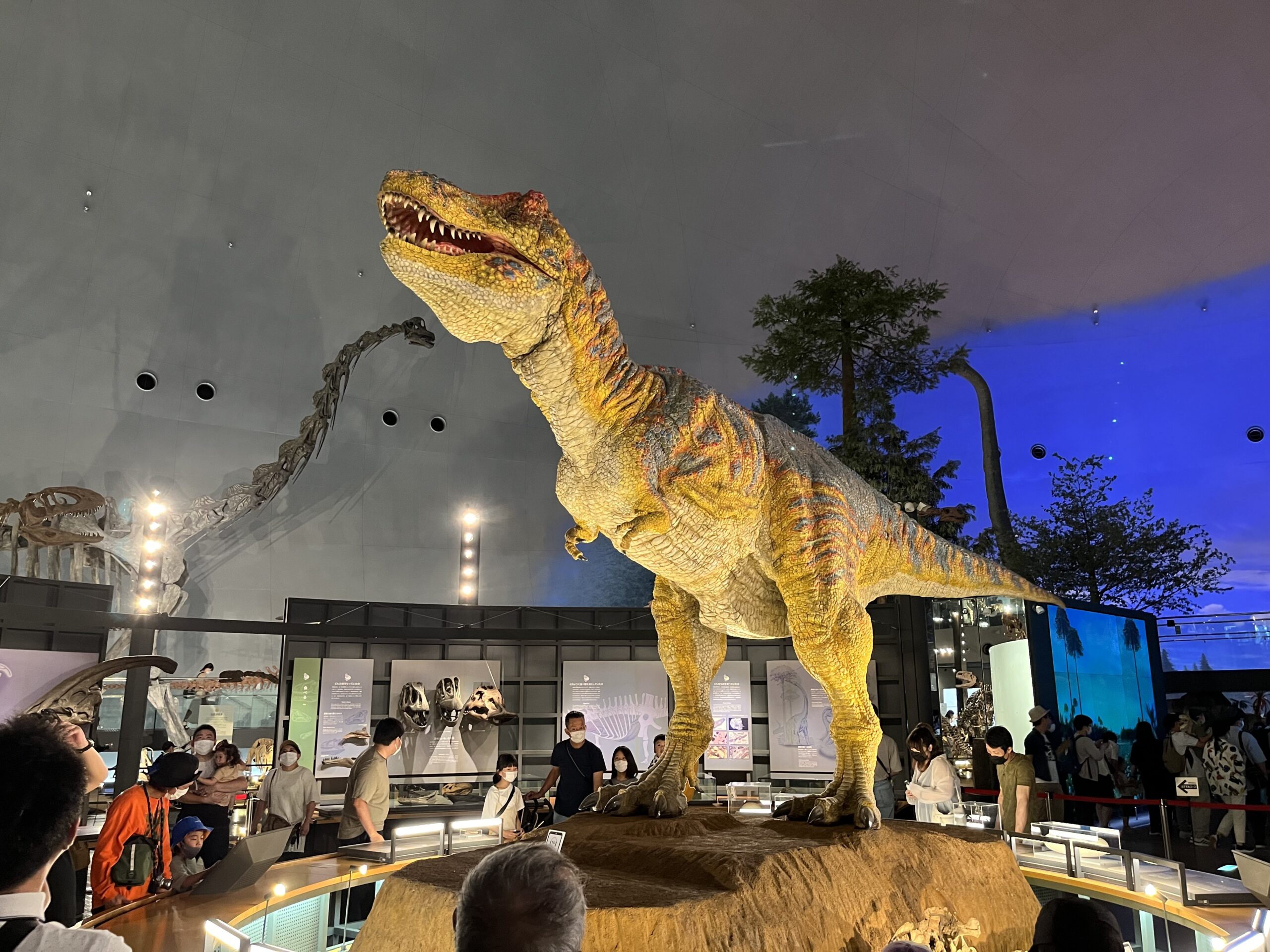 福井县立恐龙博物馆